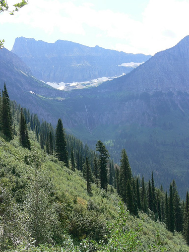 montana