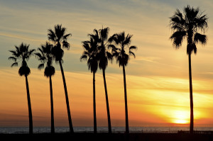 The Picturesque California Sunset