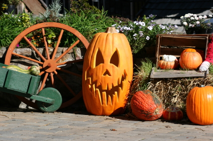 Home Decorating on Relocation Com   S Fun And Easy Home Decorating Ideas For Halloween